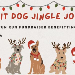 Beyond the Leash's Fit Dog Jingle Jog