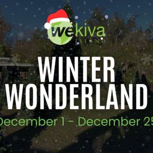 Wekiva Island's Winter Wonderland