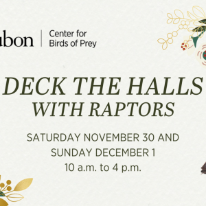 Audubon Center's Deck the Halls with Raptors