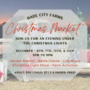 Dade City Farms Christmas Night Market