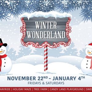 Westgate River Ranch's Winter Wonderland