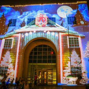 City of Winter Garden's Light Show