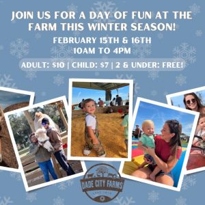 Dade City Farms Winter Festival