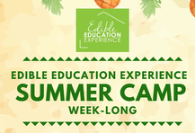 Edible Education’s Summer Camp