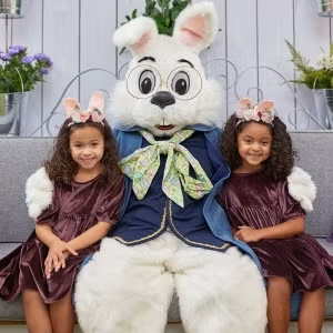 Florida Mall's Bunny Photo Experience