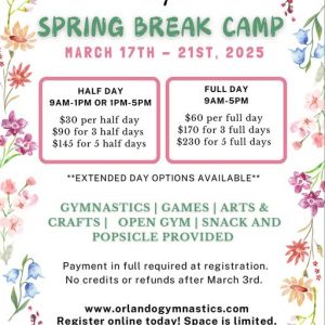 Orlando Gymnastics Spring Break Camp