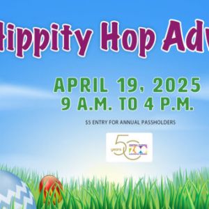 Central Florida Zoo's Hippity Hop Adventure