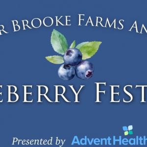 Amber Brooke Farms Blueberry Festival