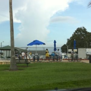 Farnsworth Swimming Pool
