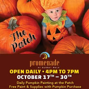 Sunset Walk's Pumpkin Patch