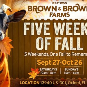 Brown & Brown Farms