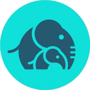 Ellie Mental Health