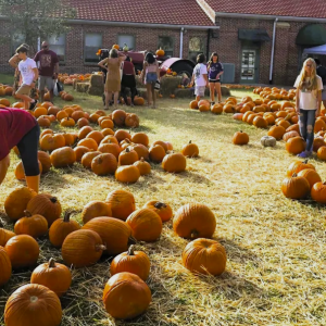 First United Methodist Church of Winter Garden Pumpkin Patch