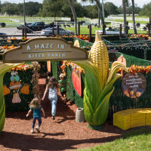 Cowboy Adventure Park at River Ranch