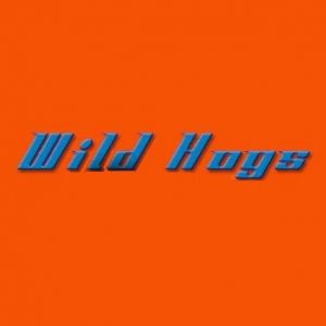 Wild Hogs Scooters and Motorcycles