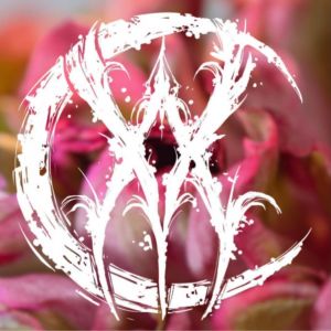 Aurum Veil Adornment Piercings