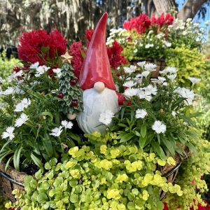 Harry P. Leu Gardens Holiday Gnome Hunt and Winter Market