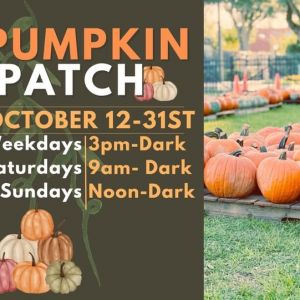 Encounter Christian Church's Pumpkin Patch