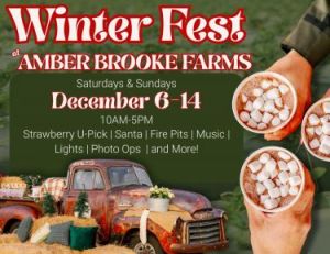 Amber Brooke Farms Winter Fest