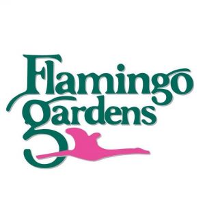 Flamingo Gardens