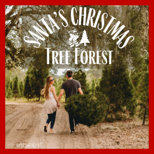 Santa's Farm Christmas Tree Farms