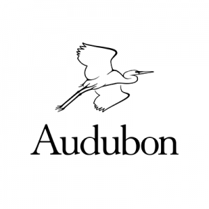 Audubon Center for Birds of Prey Summer Camp