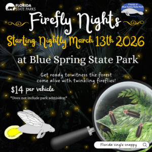 Blue Spring State Park's Firefly Nights