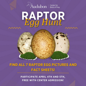 Audubon Center for Birds of Prey Raptor Egg Hunt