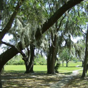 City of Ocoee’s Silver Glenn Park