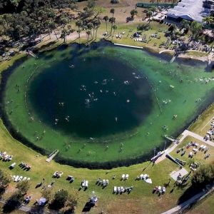 Warm Mineral Springs Park