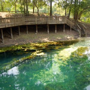 Branford Spring