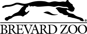Brevard Zoo's Halloween Events