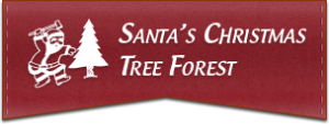 Santa's Christmas Tree Forest