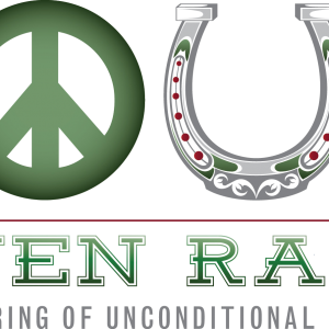 Soul Haven Ranch's Holiday Carriage Rides