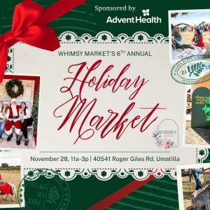 Whimsy Markets Holiday Market