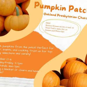 Oakland Presbyterian Church's Pumpkin Patch