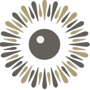 Modern Eyes at Alafaya