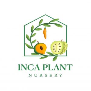 Inca Plant Nursery's Pumpkin Patch
